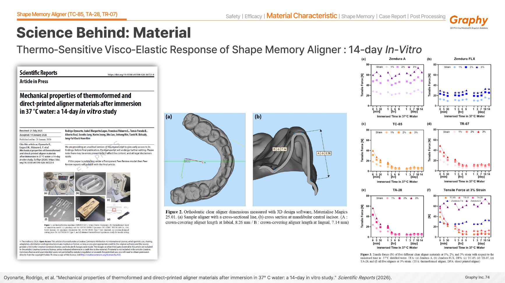 Fourteen day in-vitro performance of shape-memory aligners